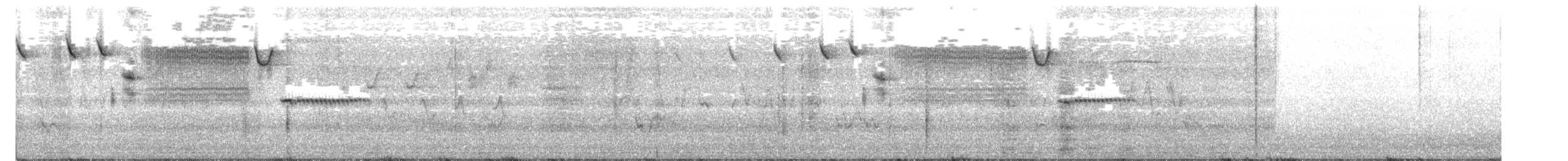 Chingolo Cantor - ML252708911