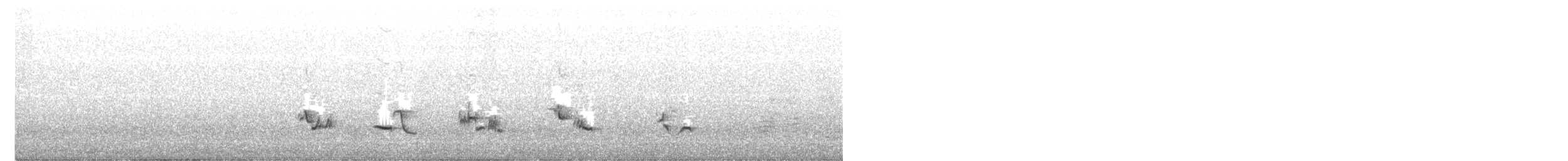 Zorzal Americano - ML252709401