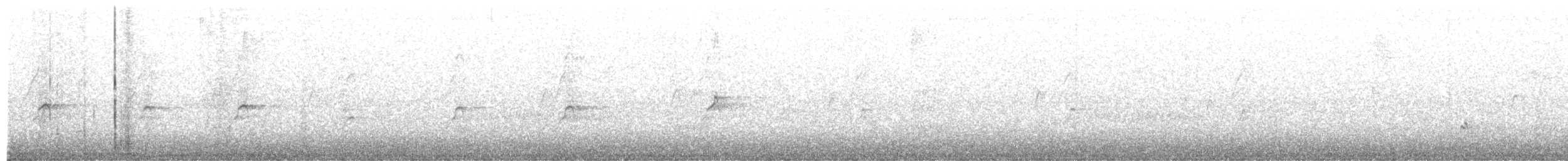 kachnička amazonská - ML252813681