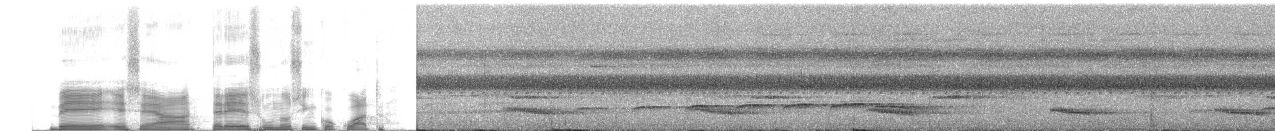 Channel-billed Toucan (Yellow-ridged) - ML252988