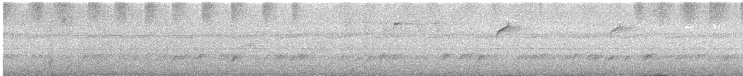 Visayan Rhabdornis - ML253010221