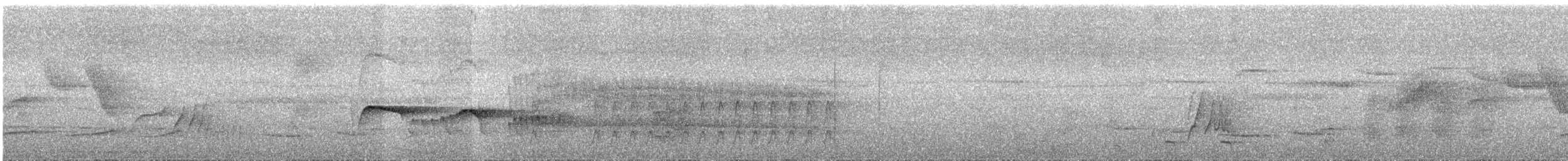 Trogon surucua (aurantius) - ML253091281