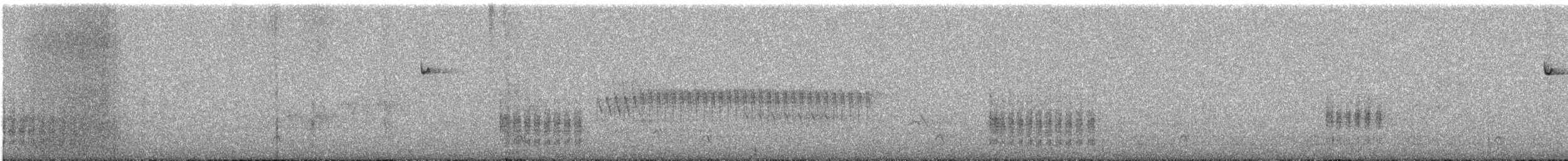 Northern House Wren - ML253098681