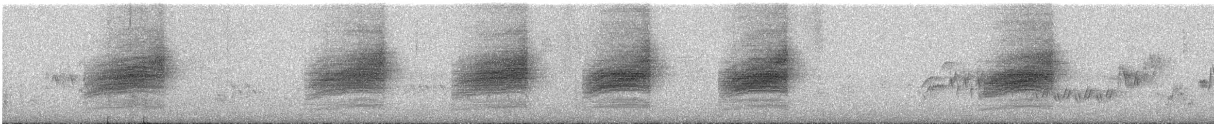 Western Warbling Vireo - ML253100721