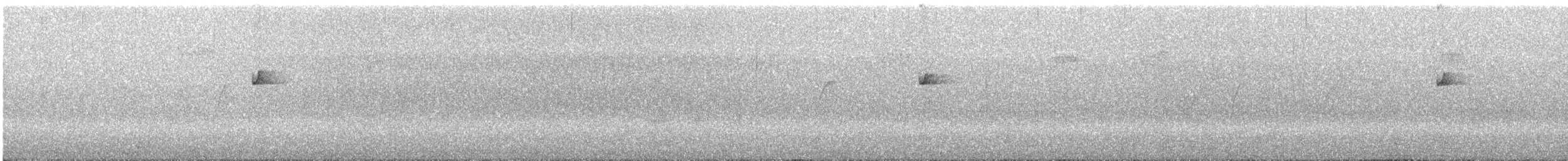 Batı Amerika Sinekkapanı (occidentalis/hellmayri) - ML253102471