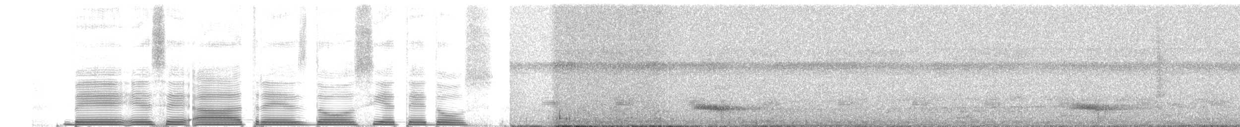 Toucan vitellin (culminatus/pintoi) - ML253106