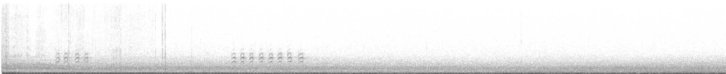 Sittelle à poitrine blanche (groupe lagunae) - ML253137121