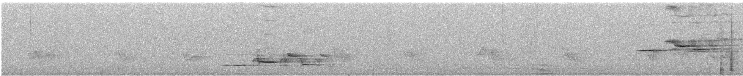 Дрізд-короткодзьоб плямистоволий - ML253198841