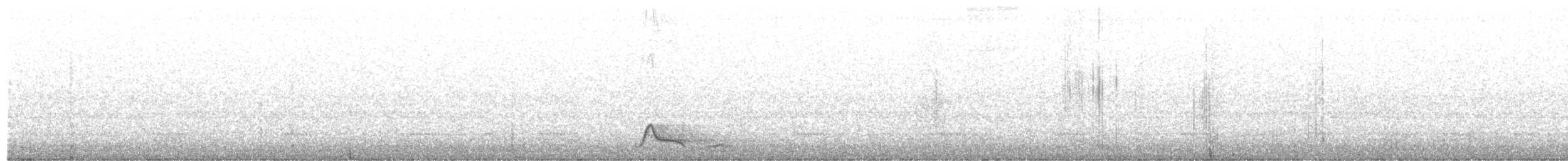 Pauraquenachtschwalbe - ML253262541