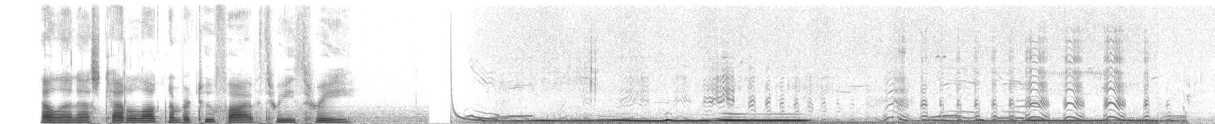 Greater Prairie-Chicken - ML2533