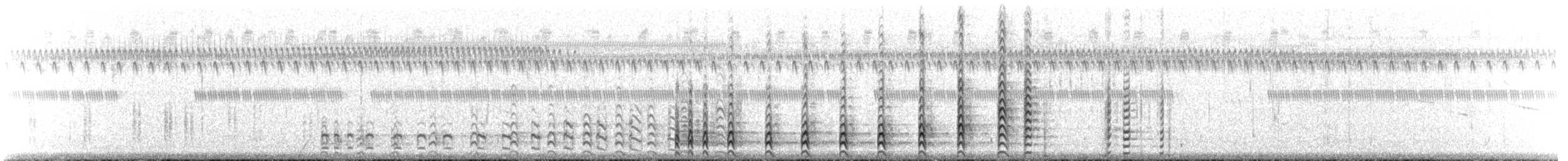 amerikasivhøne (galeata gr.) - ML253361171