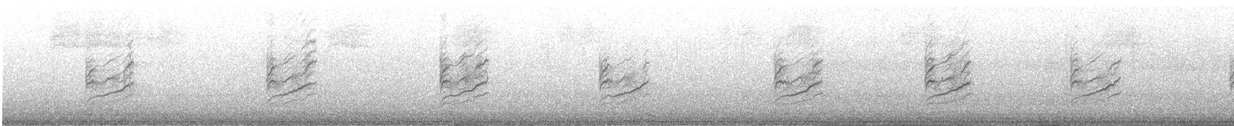 Sizerin flammé (flammea/rostrata/islandica) - ML253433571