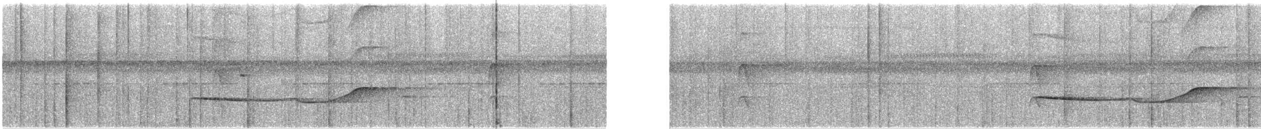 Olivaceous Schiffornis - ML253503731