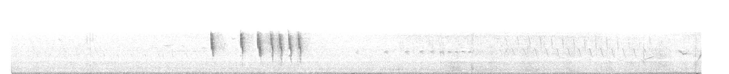 Troglodyte à bec court - ML253554461