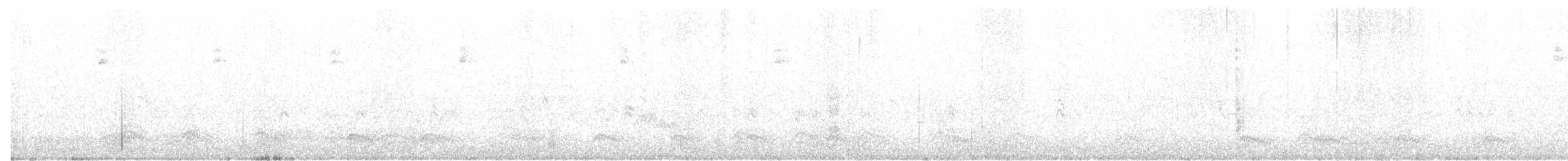 solitary vireo sp. - ML253555711