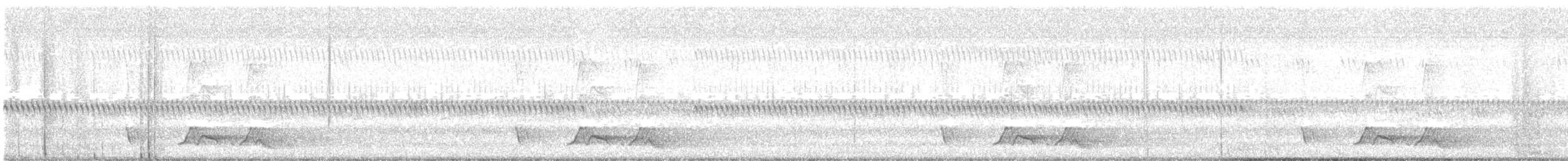 Дрімлюга каролінський - ML253596801