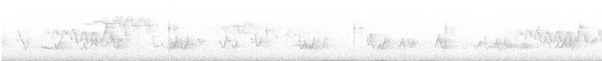 Черногорлая хвойница - ML253598591