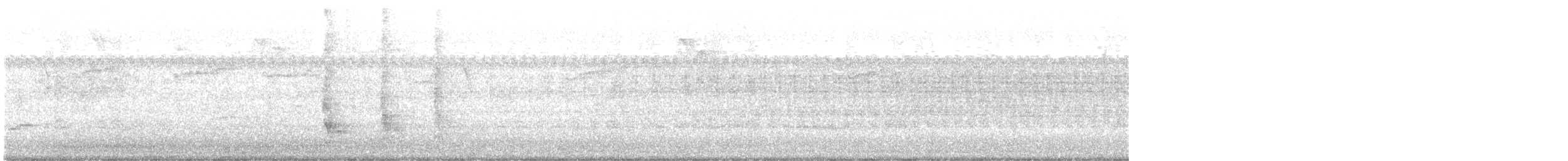 Red-bellied Woodpecker - ML253622751