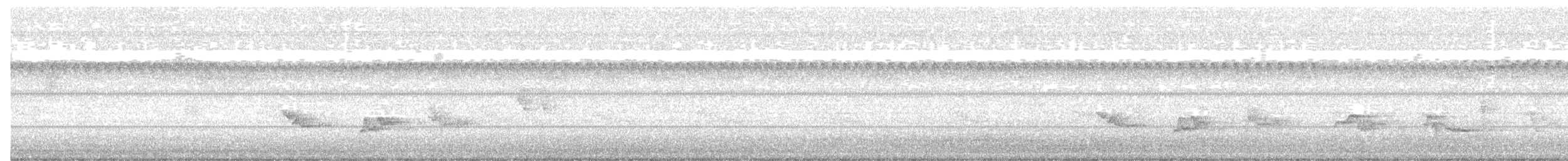 American Robin - ML253661751