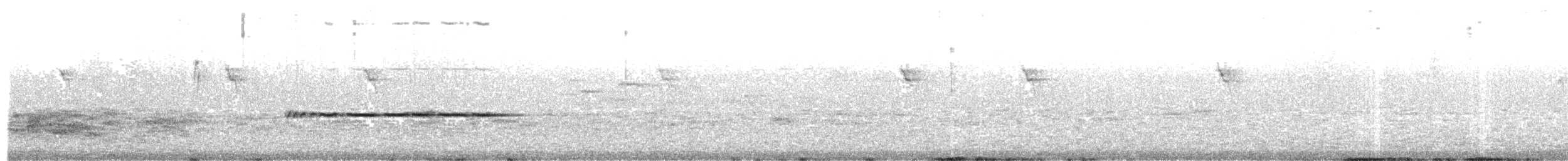 Rufous Sibia - ML253670591