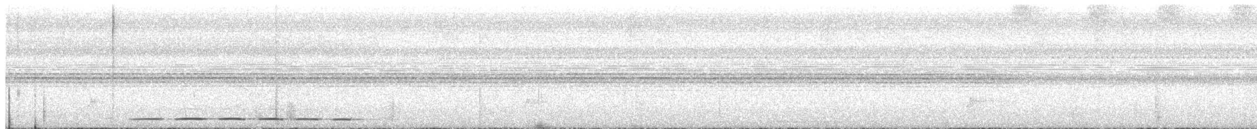 Strichelbrust-Ameisenpitta - ML25368971