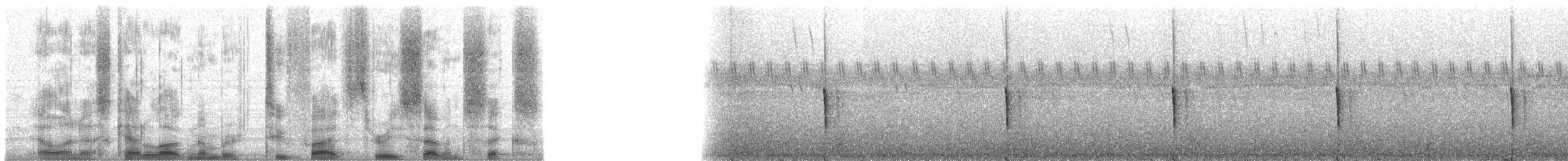 Engoulevent trifide - ML25376