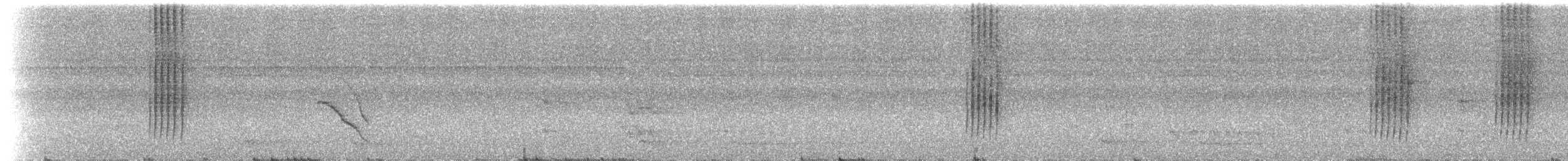 Grauwangen-Ameisenvogel - ML253764111