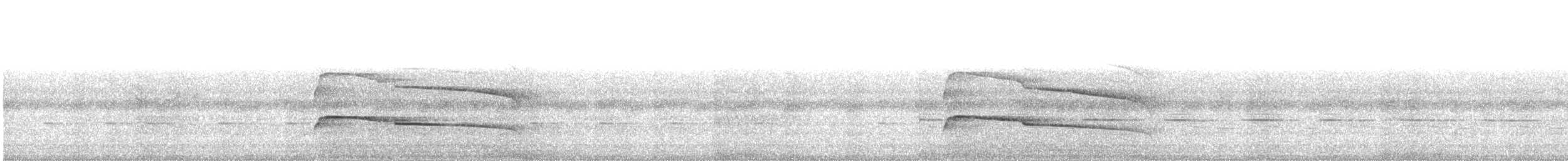 Gray-lined Hawk - ML253764491