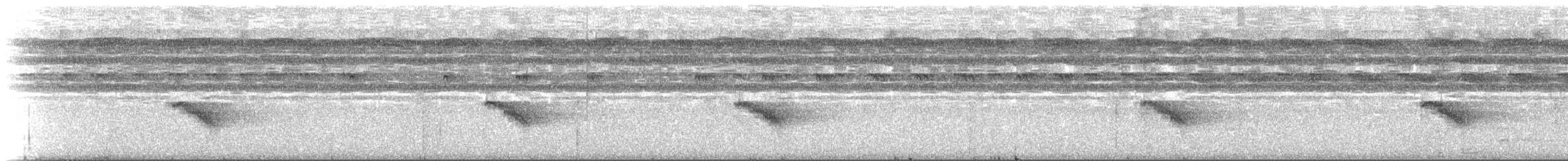 Bauchflecken-Ameisenvogel - ML253776881