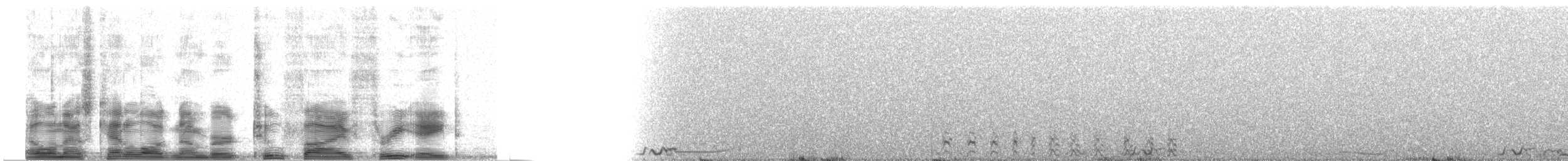 Lesser Prairie-Chicken - ML2538