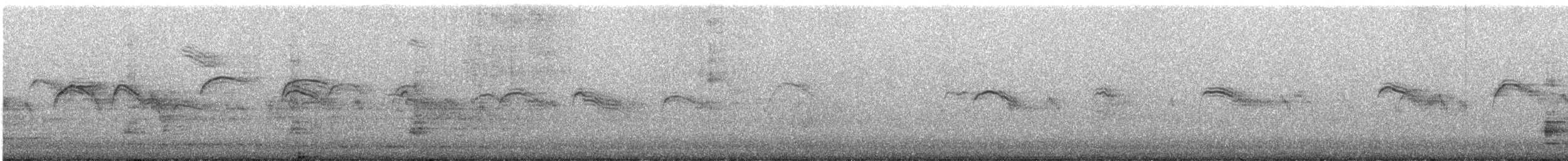 Серпокрилець блідий - ML253813471