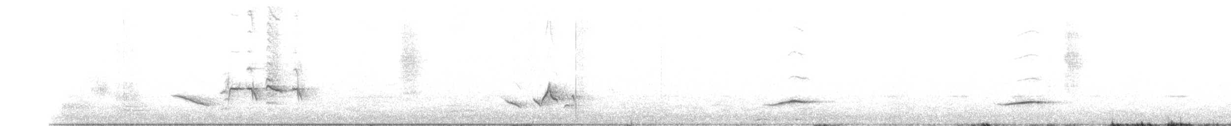 gråflanketrosteskvett - ML253840271