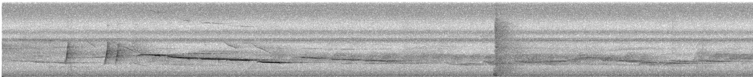Усатый шелкопёр - ML253864561