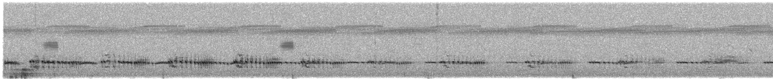 Striped Kingfisher - ML253866091