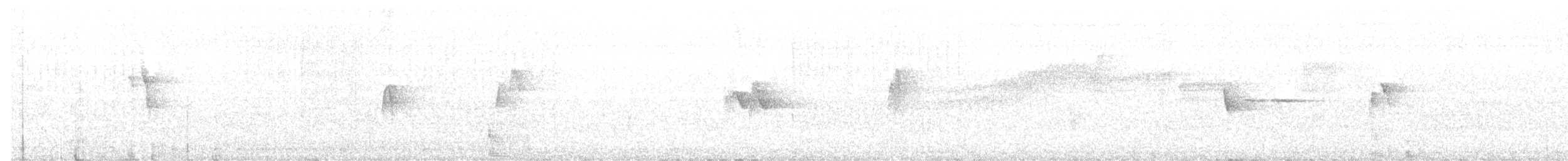 vireo sp. - ML253879871