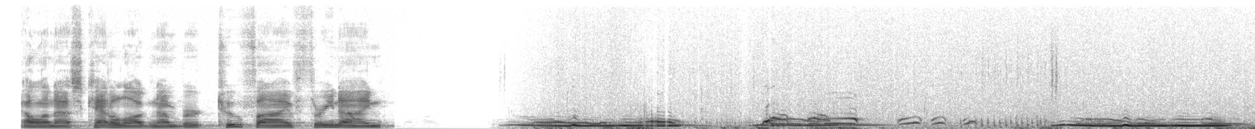 Sharp-tailed Grouse x Greater Prairie-Chicken (hybrid) - ML2539