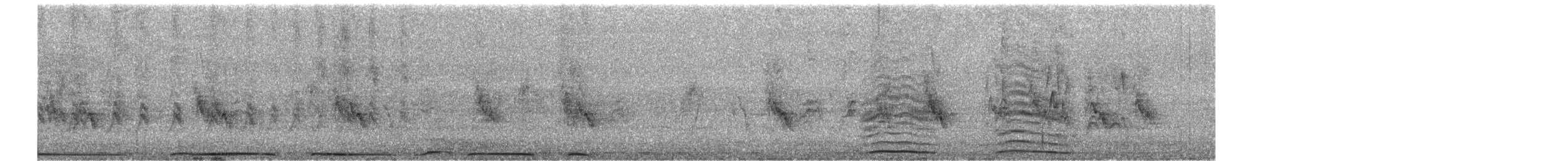 Eurasian Collared-Dove - ML253924331