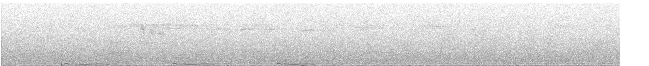 bånddue (fasciata gr.) - ML253946421