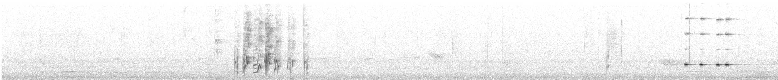 rosela žlutobřichá - ML253952381