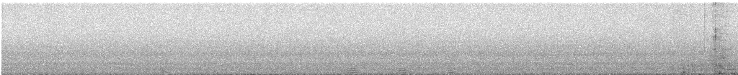 jeřábek kanadský - ML253961901