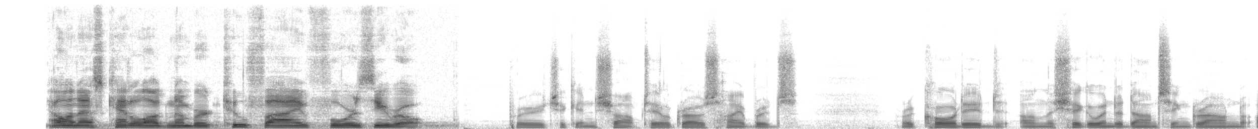 Sharp-tailed Grouse x Greater Prairie-Chicken (hybrid) - ML2540