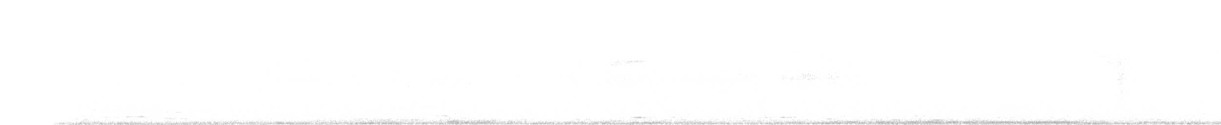 Schwarzbrust-Mangokolibri - ML254055231