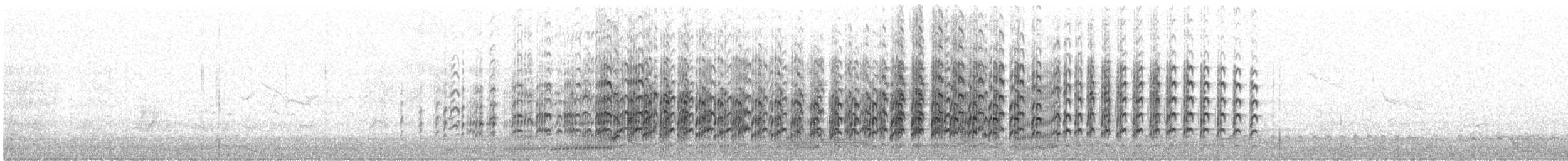 Maskenkiebitz (novaehollandiae) - ML254067011