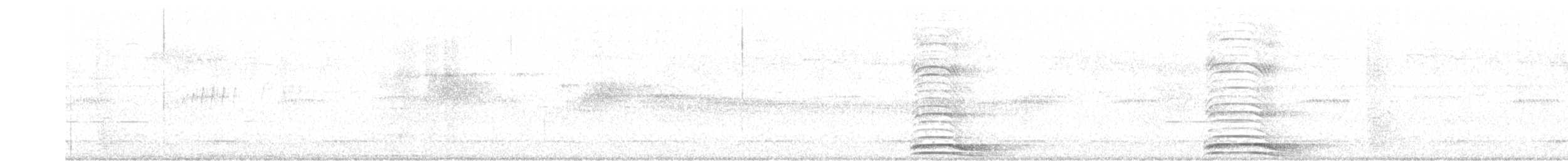 Ошейниковый лесной сокол - ML254072731