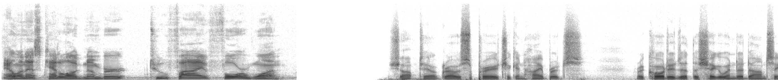 Hybride Tétras à queue fine x T. des prairies - ML2541