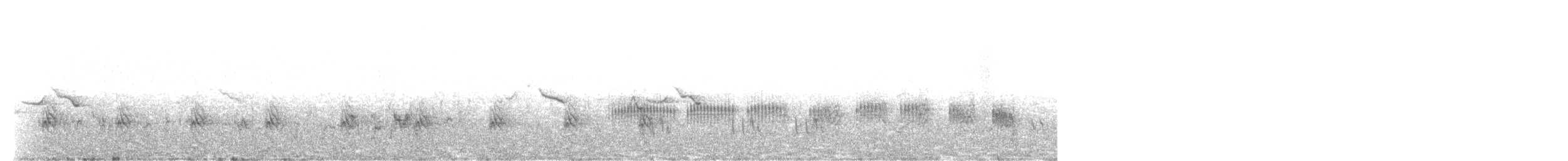 Spot-flanked Barbet - ML254184431