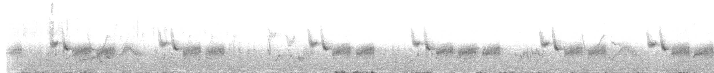 White-bellied Tit - ML254184691