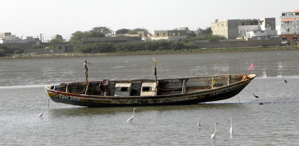 Цасч дэглий - ML25422211