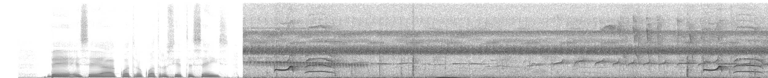 brunbeltedovenfugl - ML254299