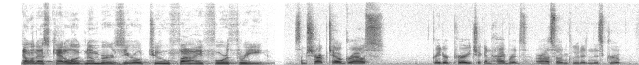 Sharp-tailed Grouse - ML2543